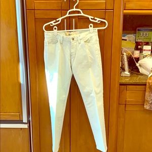 Women’s pants